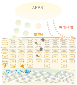 APPSの働き